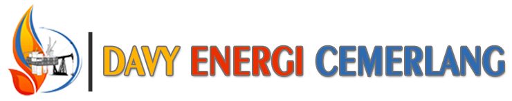 Our Company